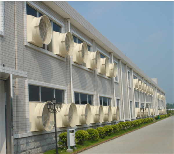 ؓ������